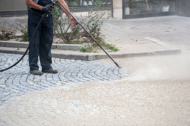 Best Driveway Cleaning and Restoration in Encantada Ranchito El Calaboz, TX