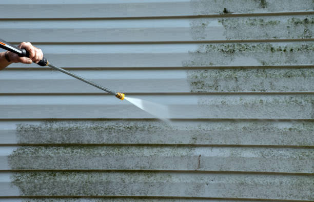 Best Roof Cleaning and Mildew Removal in Encantada Ranchito El Calaboz, TX